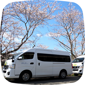 お花見ドライブ