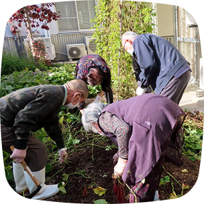野菜（サツマイモ）栽培