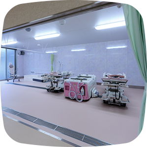 浴室ルーム（特殊浴槽）